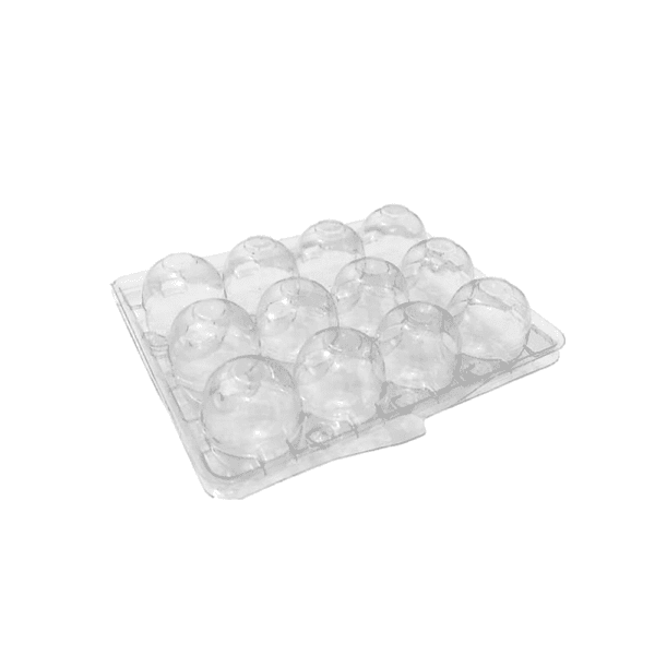 12 oeufs de caille EL380 – ELTRON Emballage Transparent