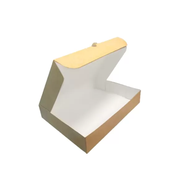 PAE007002 - Lunch box en kraft brun pour 4 compartiments et 3 saucières 34X26X6,5cm